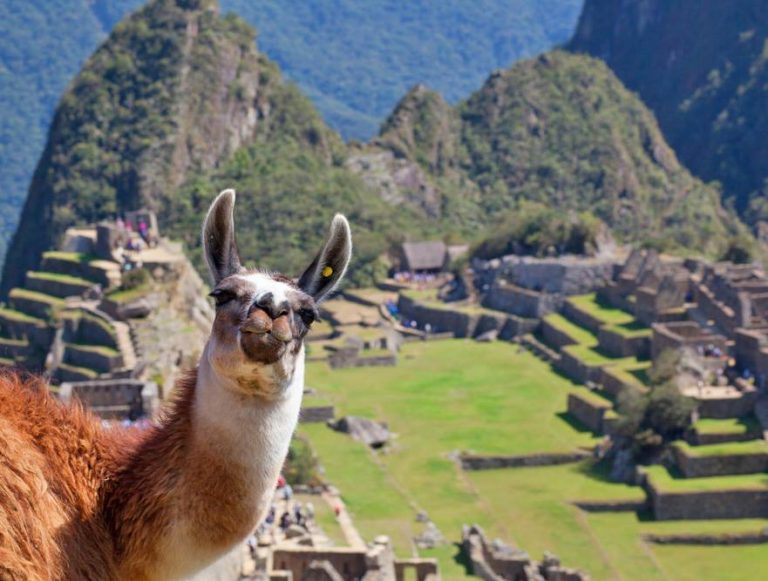 Aventuras y Naturaleza